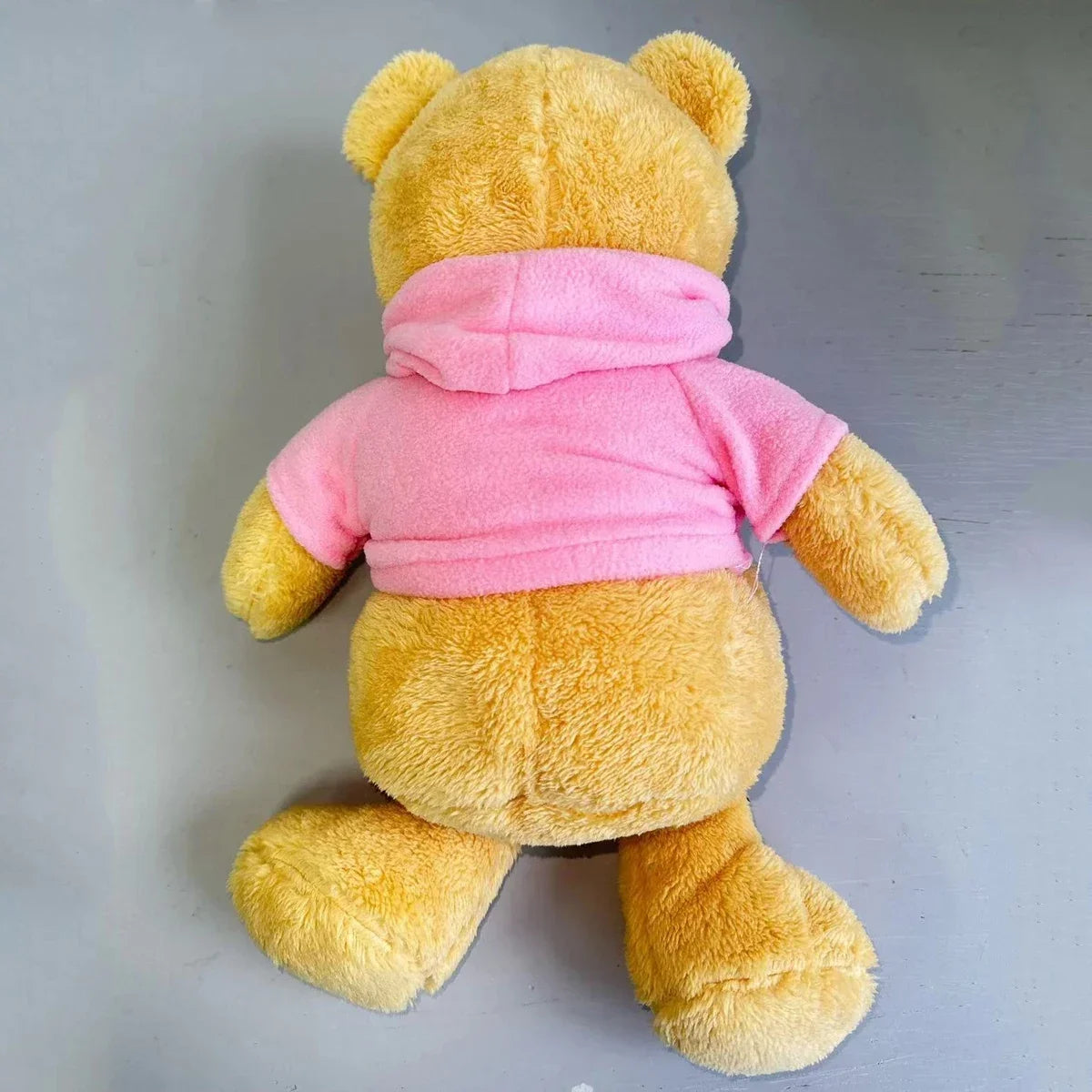 Hidden Safe Teddy