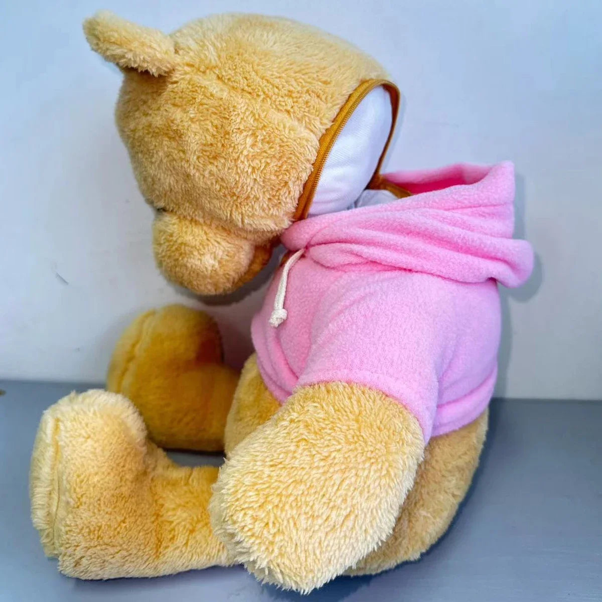 Hidden Safe Teddy