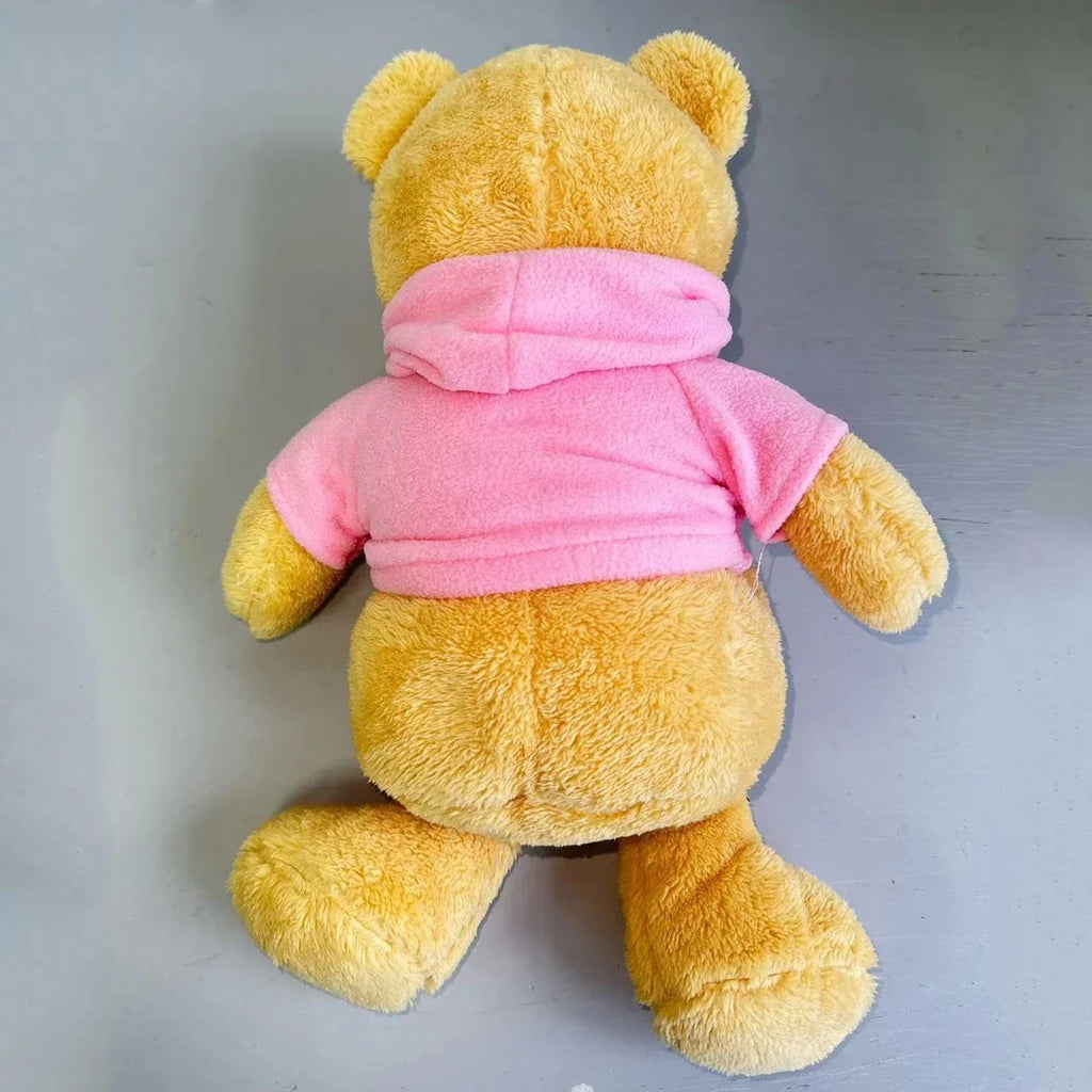 Hidden Safe Teddy