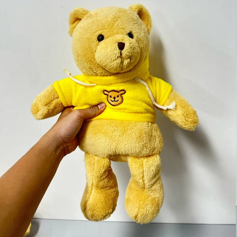 Hidden Safe Teddy