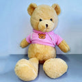 Hidden Safe Teddy